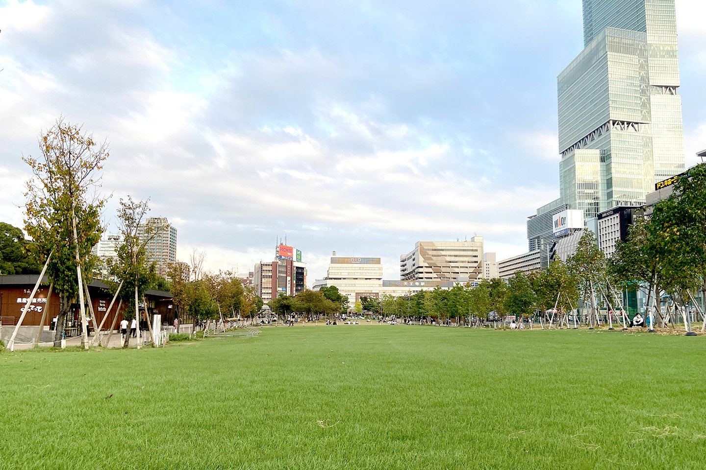 🌳 덴노지 잔디밭 (텐시바) 이미지 3